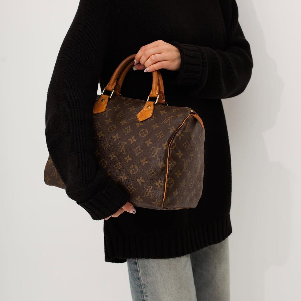 Louis Vuitton Monogram Speedy 30 (vintage)