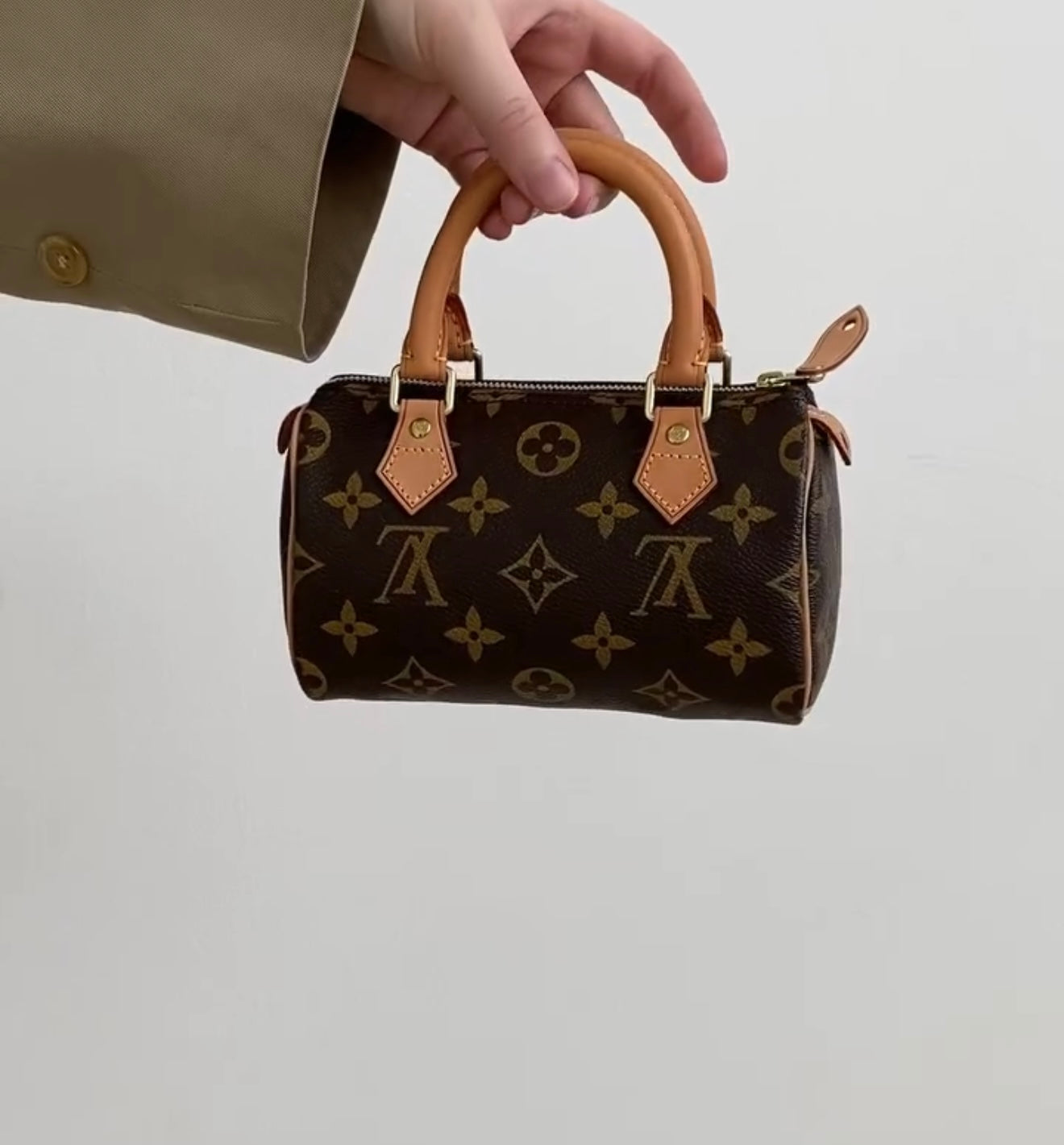Louis Vuitton Nano Speedy