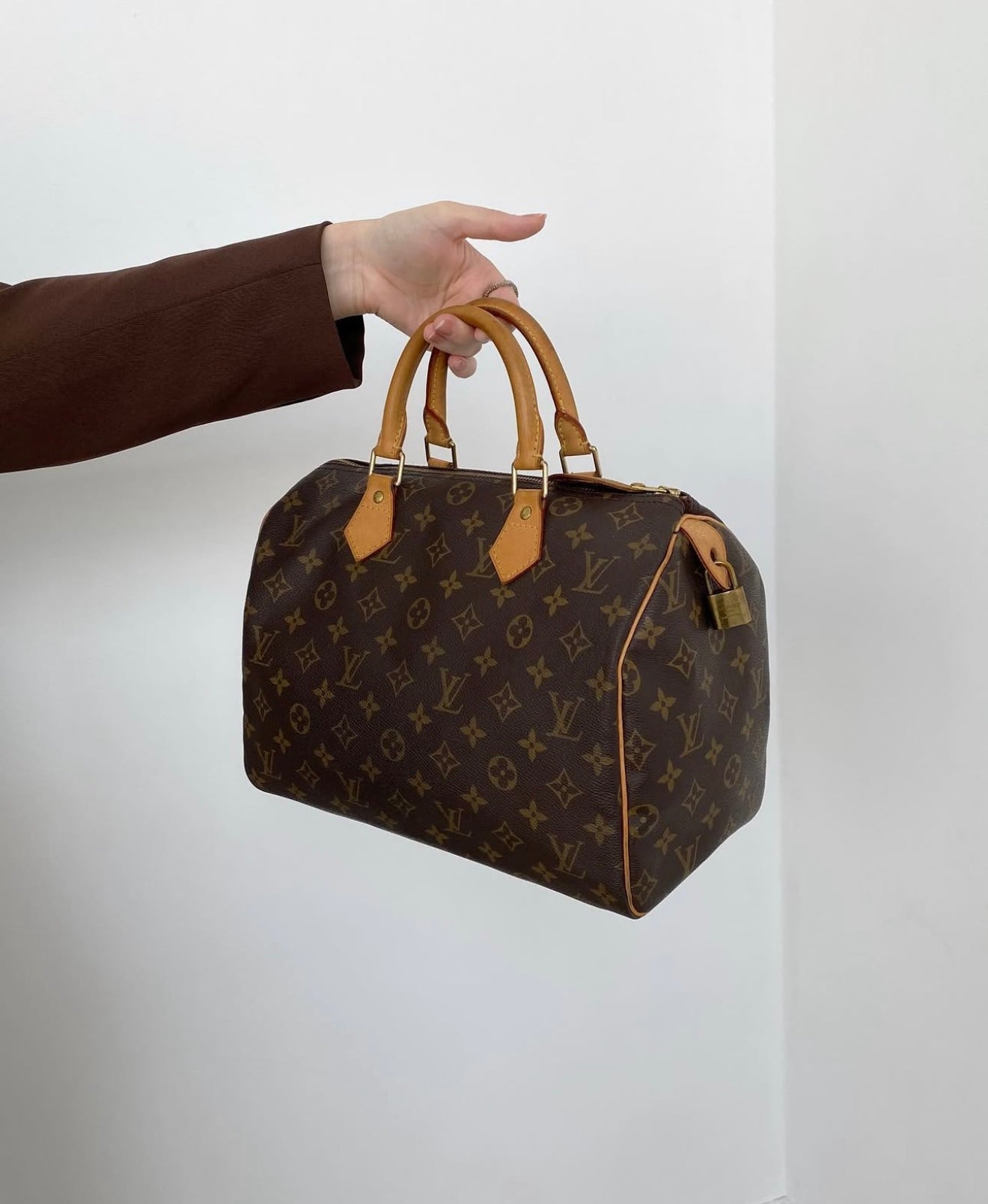 Louis Vuitton Monogram Speedy 30 (vintage)
